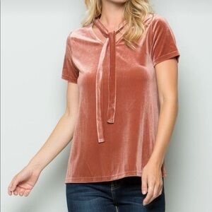 𝅺MADEWELL Velvet Blouse